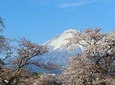 Mt. Fuji, visit where all the Japanese people belong (chartered taxi tour) 