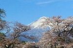Mt. Fuji, visit where all the Japanese people belong (chartered taxi tour) 