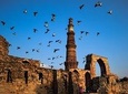 Private Old and New Delhi - Best of Delhi 8 Hours Tour