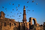 Private Old and New Delhi - Best of Delhi 8 Hours Tour