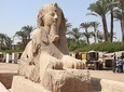 Giza Pyramids, Sphinx, Memphis, Sakkara