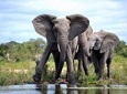 4 Night Kruger safari and Blyde Canyon 