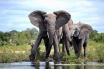 4 Night Kruger safari and Blyde Canyon 