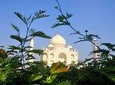 One Day Taj Mahal Tour from Jaipur by Car