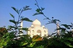 One Day Taj Mahal Tour from Jaipur by Car