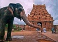 14-Days Classical South India trip from Chennai by Wonder tours