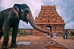 14-Days Classical South India trip from Chennai by Wonder tours