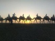 Sunset Camel Ride in Agafay Desert