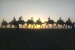 Sunset Camel Ride in Agafay Desert