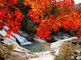 Seoraksan Daecheongbong(1,708m) Peak Hiking [1-Day Tour From Seoul]