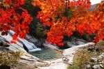 Seoraksan Daecheongbong(1,708m) Peak Hiking [1-Day Tour From Seoul]
