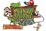 Mayan Jungle Zipline, Monkey & Sloths, City Tour & Private Vehicle