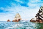 Private Ballestas Islands & Dune Buggy with Sandboarding in Huacachina Oasis