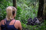 6-Day Gorilla Trekking and Kampala City Tours