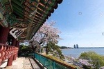 Eastern South Korea 7days 6nights