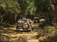 Afternoon Safari to Wilpattu National Park