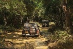 Afternoon Safari to Wilpattu National Park