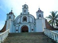 Real Coffee Plantation from Huatulco HT