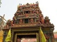 Half day Private Tour Hindu Selfie City tour with Hindu Temple