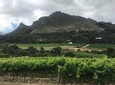 Table mountain and Constantia 