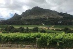 Table mountain and Constantia 