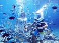 PATTAYA: Join Tour Coral Island Speed Boat - Sea Walk-Lunch Thai Seafood