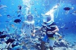 PATTAYA: Join Tour Coral Island Speed Boat - Sea Walk-Lunch Thai Seafood