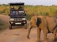 Afternoon Safari at Udawalawe National Park 