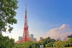 Freely set up plans Guided Private Tours in Tokyo