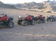 Camel Ride + Blue Hole Snorkel + Quad Bike Tour With Lunch From Dahab