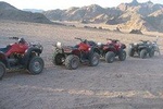 Camel Ride + Blue Hole Snorkel + Quad Bike Tour With Lunch From Dahab