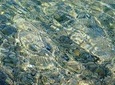 Airport Zadar or Zadar to Split via Krka waterfalls for singles or couples