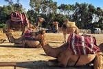Tangier Day Tour