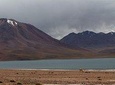 Altiplanic Lagoons