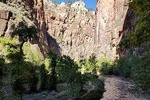 Small Group Guided Walking Tour of Zion National Park
