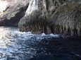 Snorkelling and Freediving experience