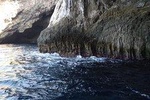Snorkelling and Freediving experience