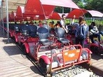 Private Tour Rail Bike & Nami Island & Petite France (More Members Less Cost)