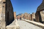 History and Wine - Private car service, guided tour of Pompeii and Wine tasting