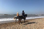 PRIVATE 1 Day Trip to ESSAOUIRA from Marrakech