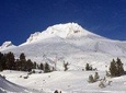 The Hood-Columbia Loop: Timberline, Orchards, and Waterfalls