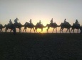 Camel Ride in Agafay Desert with Dinner