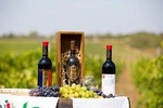 DayTour to Curchi, Old Orhei Monasteries Complex with lunch Moldova