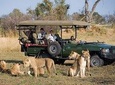 Zambezi Sunset Cruise + Game Drive Safari with hotel Pick Up