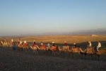 Camel ride in Agafay desert