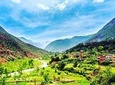 Atlas mountains berber village and camel ride full day trip