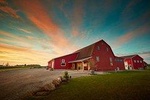 Grape to Glass Wine Tour at Between The Lines Winery 