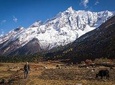 20 days Manaslu Rupina La Pass Homestay Trek