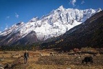 20 days Manaslu Rupina La Pass Homestay Trek