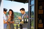 Saint Emilion: Guided Tour of Castles & Tasting - Wine Bar option